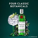 More tanqueray-london-dry-gin-life.jpg